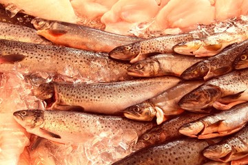 Fish market in Norway. Vintage processed image style.