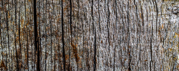 old wood slice with cracks, abstract texture