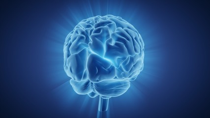 3d illustration human brain with convolutions and a radiance of light