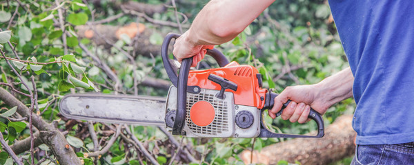 A man with a chainsaw sawing a tree fallen after a hurricane