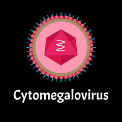 Cytamegalovirus structure. Viral infection cytomegalovirus. Sexually transmitted diseases. Infographics. Vector illustration on isolated background.