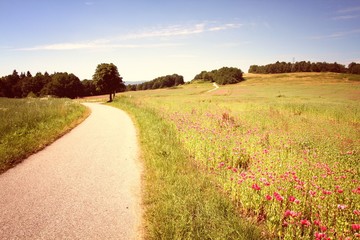 Czech Republic. Retro color filtered style.
