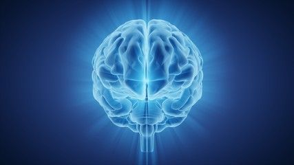 3d illustration human brain with convolutions and a radiance of light