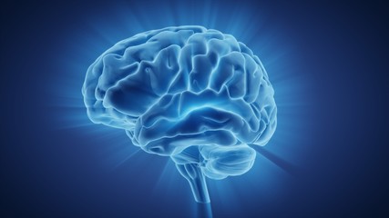 3d illustration human brain with convolutions and a radiance of light