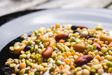 Soaked legumes on a plate