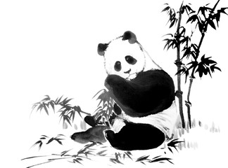 Oriental style painting of panda with a branch of bamboo. Traditional chinese ink and wash painting isolated on white background. Original hand drawn watercolor stock illustration. © Viktoria