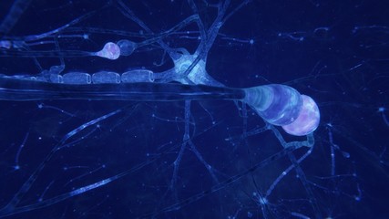 3d illustration brain neurons with synapses and axons