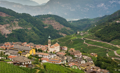 Fototapeta na wymiar Cembra Valley landscape : vineyard surround the village of Cembra, Valle di Cembra, Trentino Alto Adige, northern Italy