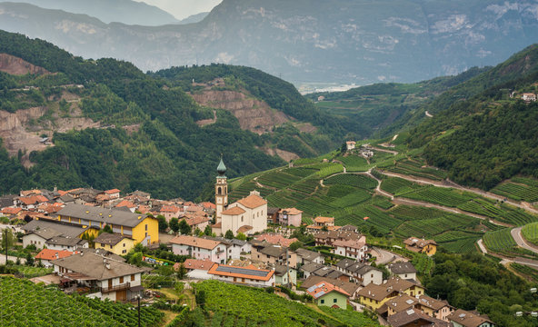 Cembra Valley landscape : vineyard surround the village of Cembra, Valle di Cembra, Trentino Alto Adige, northern Italy