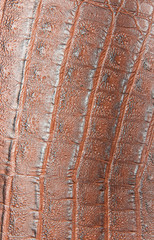 Background texture of multi-colored corrugated leather with interesting colors