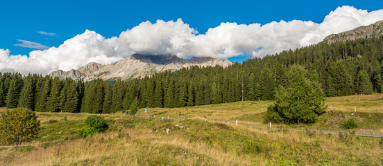 Lavazè Pass (Passo Lavazè) in South Tyrol, Bolzano Province:  is one of the most fascinating...