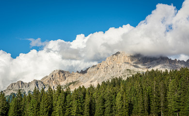 Obraz premium Lavazè Pass (Passo Lavazè) in South Tyrol, Bolzano Province: is one of the most fascinating landscapes of Val di Fiemme. Trentino Alto Adige. Dolomiti, northern Italy
