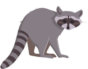 Standing raccoon side view. Cute animal in cartoon style.