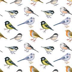 Festive endless texture. Watercolor of birds isolated on white.  Seamless pattern for greeting design. Hand drawn stock illustration.