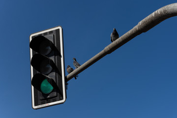 traffic light against a blue sky