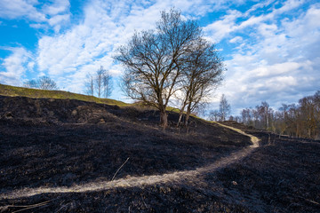 Fototapeta na wymiar A winding narrow path on the ground with scorched last year's grass, climbing a hill.