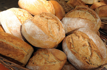 Rustic wheat bread buns made with sourdough and cooked in a wood oven, delicacies from spain