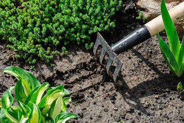garden rake and spring garden