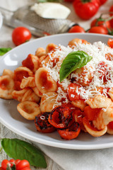 South italian  pasta orecchiette with tomato sauce and cacioricotta cheese