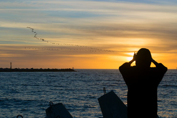 Fototapeta premium At sunset, a woman photographs birds flying over the sea. Backlight creates a spectacular, contrasty image.