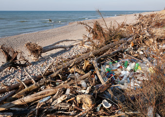 Sandy coast littered with plastic trash and fallen trees. Intensive environmental pollution occurs.