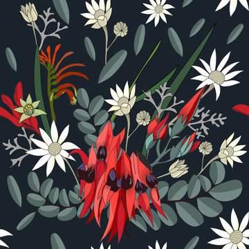 hand drawn mixed australian native flower seamless pattern