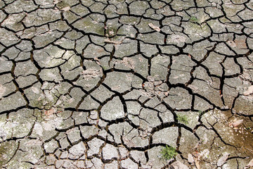 The cracked ground in the dry season of the river that is dry by the heat.