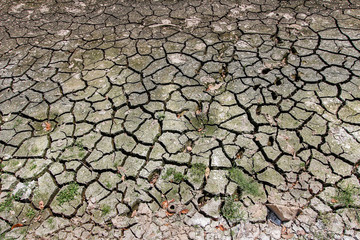 The cracked ground in the dry season of the river that is dry by the heat.