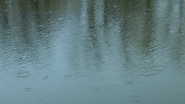 abstract, weather, water, nature, background, rain, summer, pattern, outdoors, pond, rainy, raindrop, surface, liquid, lake, reflection, ripple, environment, wet, drop, season, city, circle, blue, str