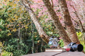 Camera and Bible placed on a wooden terrace beneath the blooming pink blossoms of cherry blossoms in the morning.