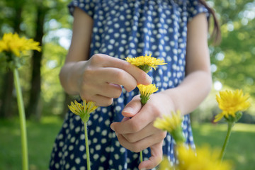 夏の公園で蒲公英の花を遊んでいる可愛い子供