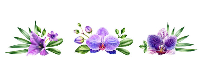 Fototapeta na wymiar Watercolor Orchid set. Purple flower bouquets with palm leaves. Colourful tropical plants collection in bloom isolated on white. Hand painted botanical floral illustration