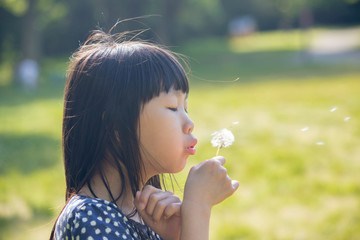 夏の公園で蒲公英の花を遊んでいる可愛い子供