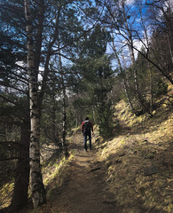 Obraz premium man hiking in the woods