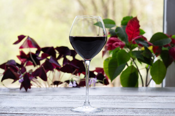 red wine in a glass on white wooden background with window plant leaves
