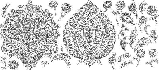 Hand-drawn flowers and leaves, Paisley Style, white background