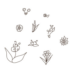 Doodle flower hand drawn illustration.Vector illustration for wedding,invitation card