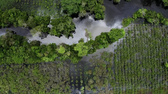 Drone shot of the Amazons river in Peru