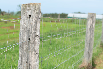 rural farming  fence with posts and wire