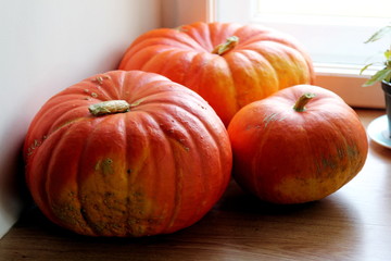 Three orange pumpkins on the table