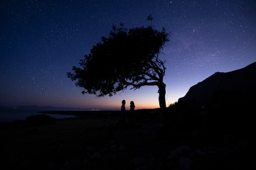 Naklejka na ściany i meble Silhouette of couple with night scene milky way background in the galaxy. under tree. Romantic star night shot