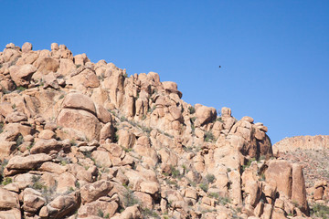 Fototapeta premium Desert Landscape from Big Bend