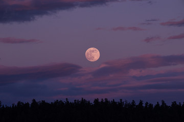 full moon in the night