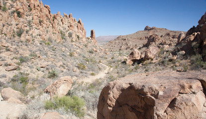 Path through the desert landscape