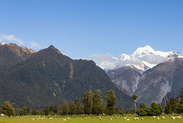 Southern Alps. Two mount on one shoot. Mount Cook and mount Tasman. South Island, New Zealand
