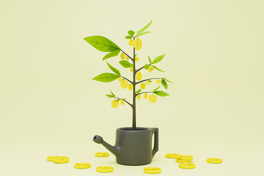 Money coins tree on can.Business growth concept.3d render.