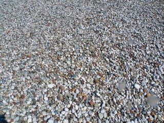 OLYMPUS DIGITAL CAMERA Antalya