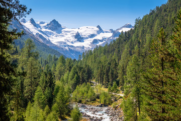 Gorgeous nature of the Roseg Valley in September. It is a valley of the Swiss Alps, located on the north side of the Bernina Range in Graubünden The valley is drained by the Ova da Roseg river. 