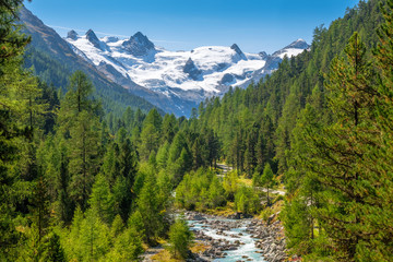 Fototapeta na wymiar Gorgeous nature of the Roseg Valley in September. It is a valley of the Swiss Alps, located on the north side of the Bernina Range in Graubünden The valley is drained by the Ova da Roseg river. 