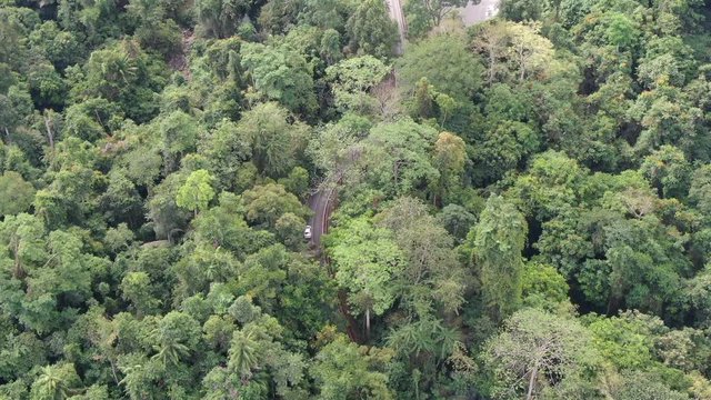 Slow motion of car running on the road in rain forest. Aerial view of Asia forest. Flight over jungle by Drone. Transportation and Environment Concept.